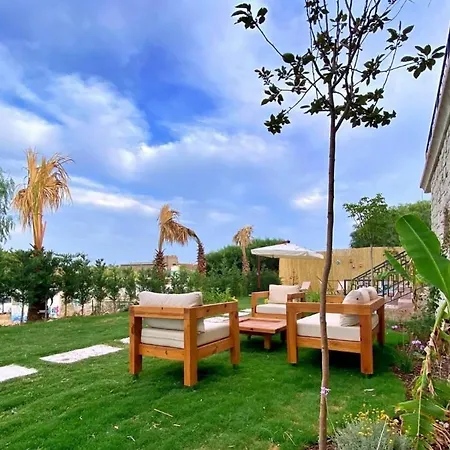 Lotus Port 阿拉恰特