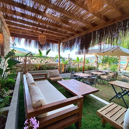 Lotus Port 酒店 阿拉恰特